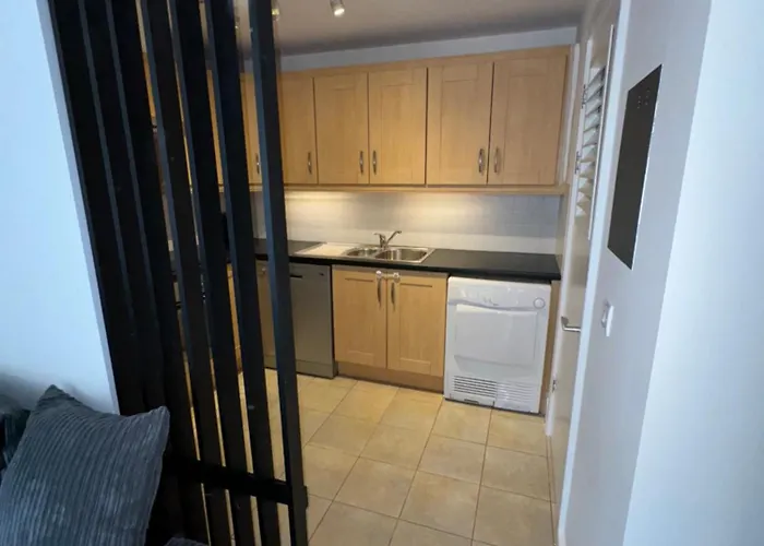 公寓 In Limerick Junction